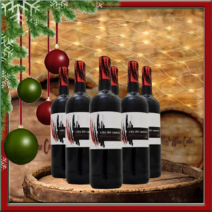 Villa del Camino Rioja (6 bottles)