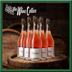 Codorniu Seleccion Raventos